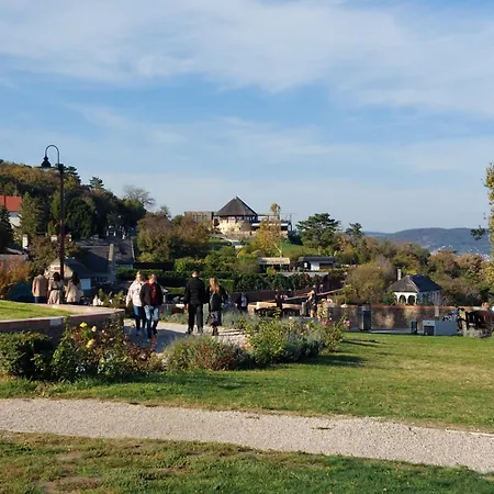 Babamuzeum Case de vacanță *