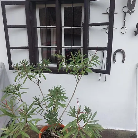 Babamuzeum Case de vacanță Tihany