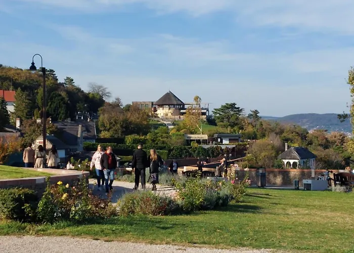 Babamuzeum Case de vacanță *