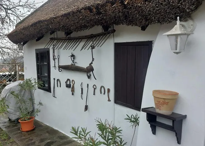 Babamuzeum Case de vacanță