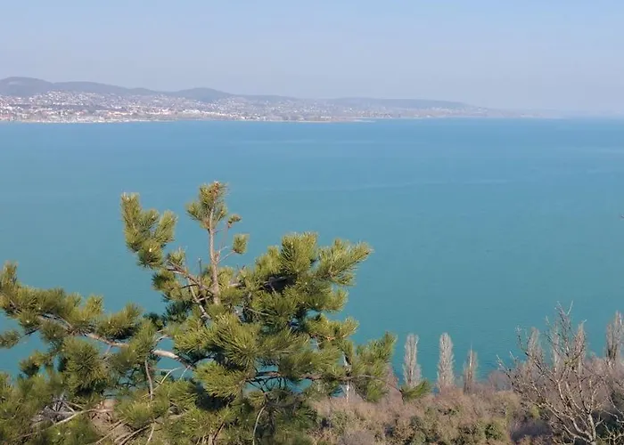 Babamuzeum Case de vacanță *