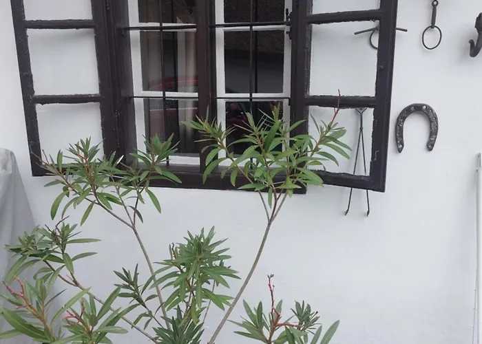 Babamuzeum Case de vacanță Tihany